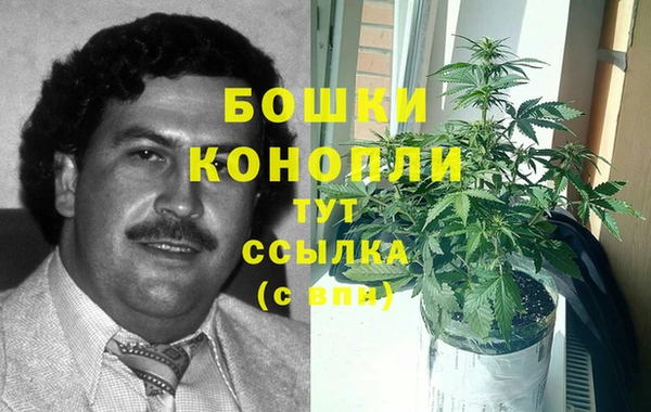 apvp Белокуриха